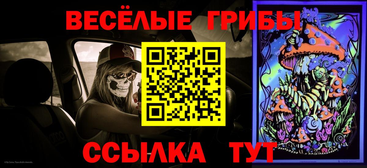 Псилоцибиновые грибы Psilocybine cubensis Можайск